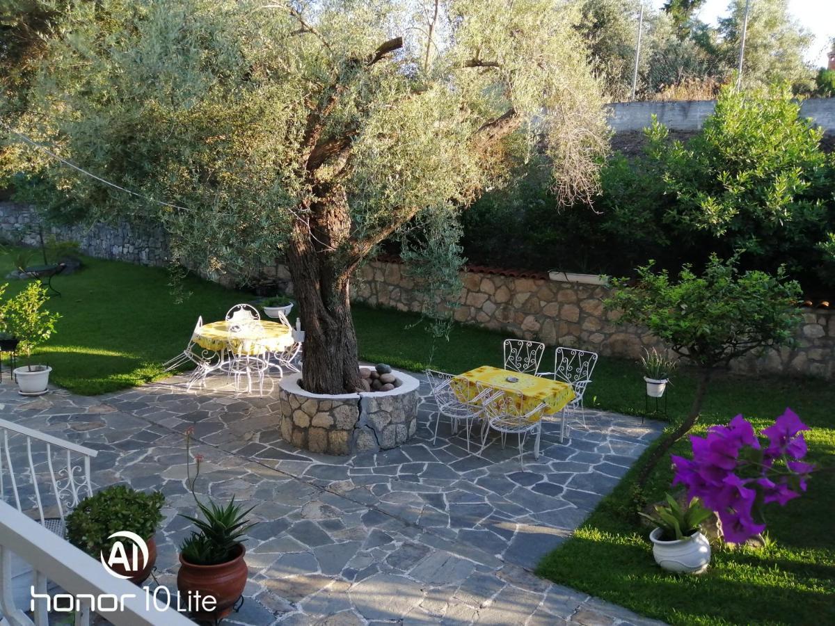 Avra Ηouse Daire Kriopigi Dış mekan fotoğraf