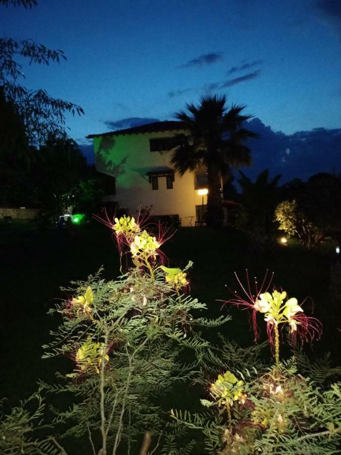 Avra Ηouse Daire Kriopigi Dış mekan fotoğraf